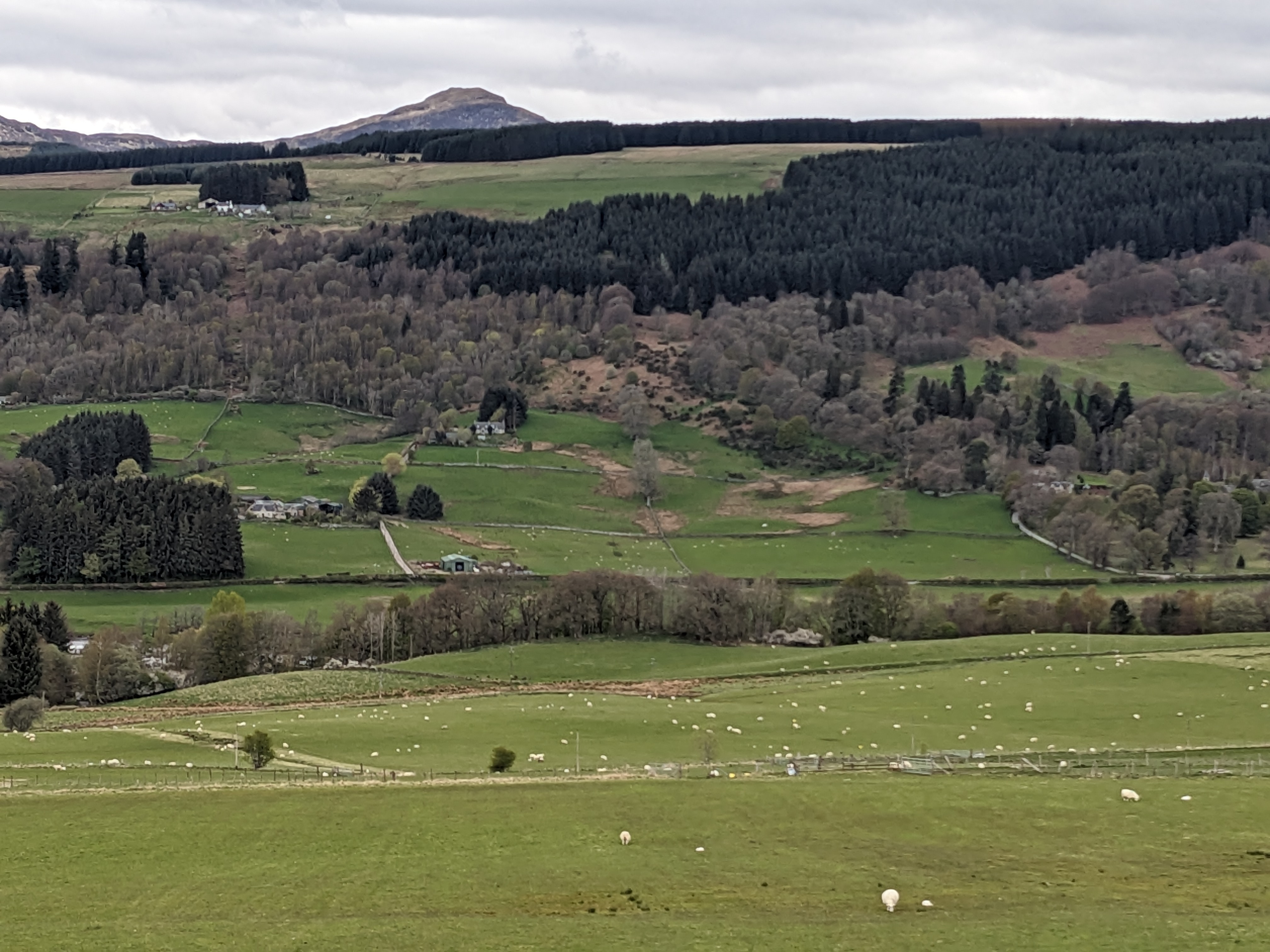 Rural upland landscape