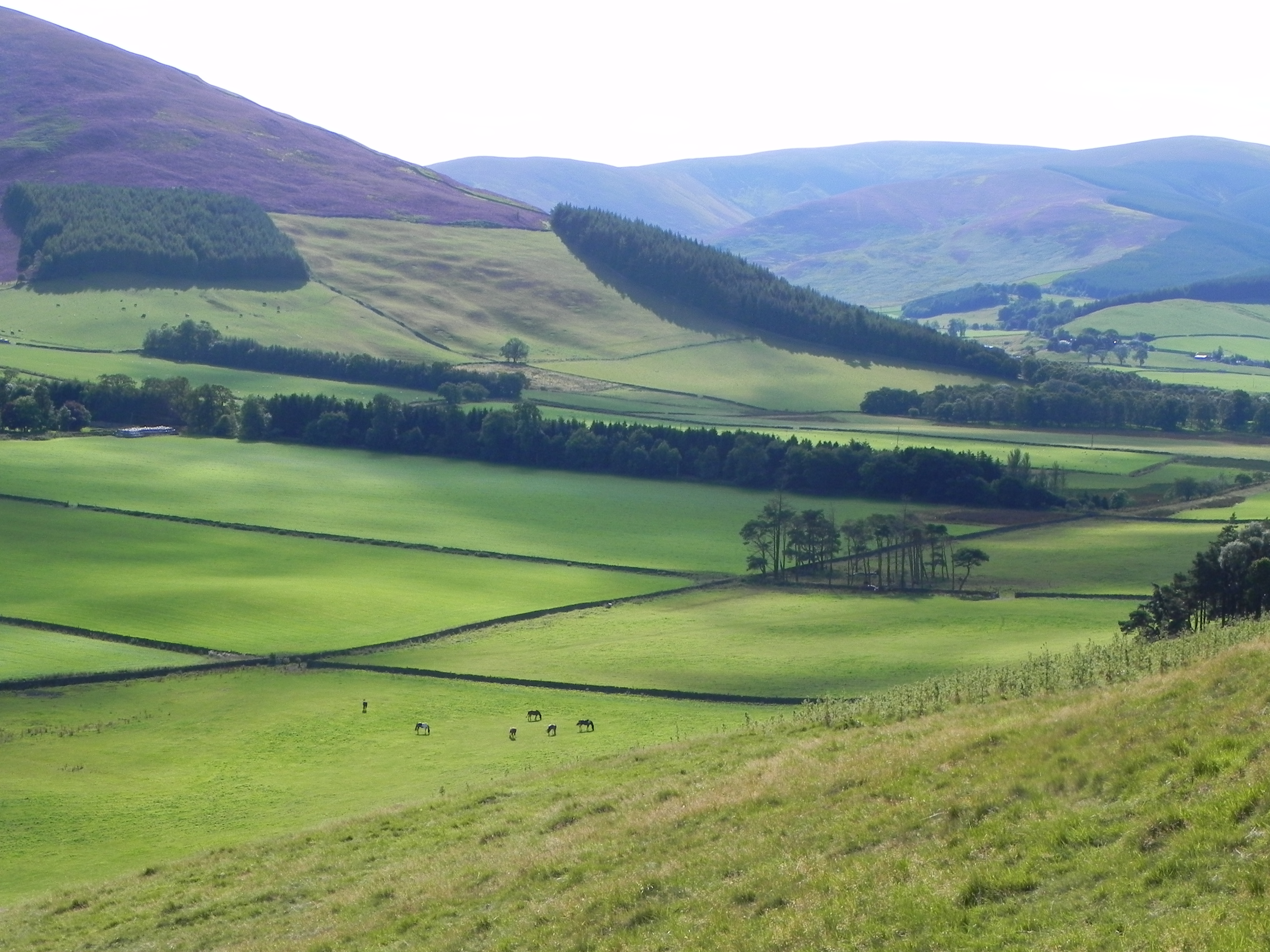 Rural upland landscape